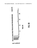 Inorganic-hydrogen-polymer and hydrogen-polymer compounds and applications thereof diagram and image