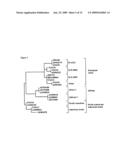 IDENTIFICATION OF HPV16 LINEAGE GROUP diagram and image