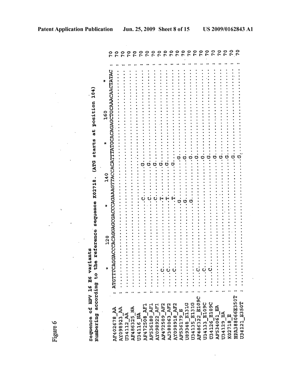 IDENTIFICATION OF HPV16 LINEAGE GROUP - diagram, schematic, and image 09