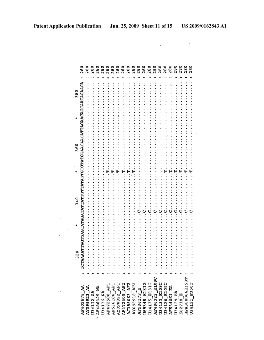 IDENTIFICATION OF HPV16 LINEAGE GROUP - diagram, schematic, and image 12