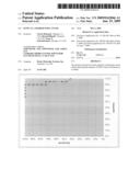 SENP1 as a marker for cancer diagram and image