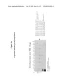 NUCLEIC ACID AND CORRESPONDING PROTEIN ENTITLED 125P5C8 USEFUL IN TREATMENT AND DETECTION OF CANCER diagram and image