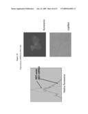 NUCLEIC ACID AND CORRESPONDING PROTEIN ENTITLED 125P5C8 USEFUL IN TREATMENT AND DETECTION OF CANCER diagram and image