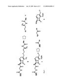 Orthogonal chemical inducer of dimerization diagram and image
