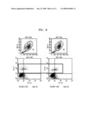 BREAST CANCER RELATED PROTEIN, GENE ENCODING THE SAME, AND METHOD OF DIAGNOSING BREAST CANCER USING THE PROTEIN AND GENE diagram and image