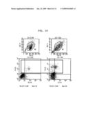 BREAST CANCER RELATED PROTEIN, GENE ENCODING THE SAME, AND METHOD OF DIAGNOSING BREAST CANCER USING THE PROTEIN AND GENE diagram and image