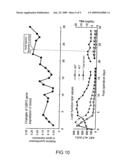 Gene Markers and Utilization of the Same diagram and image