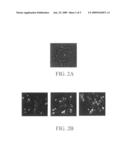 COMPETITIVE RECEPTOR BINDING ASSAY FOR DETECTING BETA-GLUCANS HAVING IMMUNOMODULATORY ACTIVITY IN A HUMAN CELL diagram and image