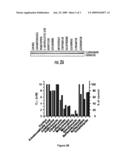 Methods to Identify Protein Arginine Deiminase 4 Inhibitors diagram and image