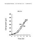 METHOD FOR MASS PRODUCTION OF PRIMARY METABOLITES, STRAIN FOR MASS PRODUCTION OF PRIMARY METABOLITES, AND METHOD FOR PREPARATION THEREOF diagram and image