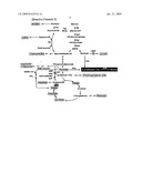 METHOD FOR MASS PRODUCTION OF PRIMARY METABOLITES, STRAIN FOR MASS PRODUCTION OF PRIMARY METABOLITES, AND METHOD FOR PREPARATION THEREOF diagram and image