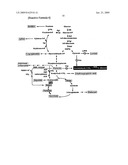 METHOD FOR MASS PRODUCTION OF PRIMARY METABOLITES, STRAIN FOR MASS PRODUCTION OF PRIMARY METABOLITES, AND METHOD FOR PREPARATION THEREOF diagram and image