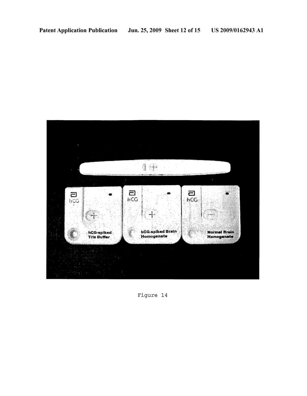 Reagents and Methods for the Detection of Transmissible Spongiform Encephalopathy - diagram, schematic, and image 13