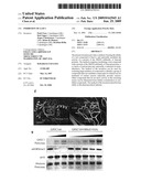 INHIBITION OF GASC1 diagram and image