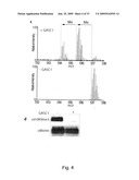 INHIBITION OF GASC1 diagram and image