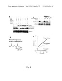 INHIBITION OF GASC1 diagram and image