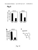 INHIBITION OF GASC1 diagram and image