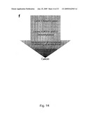 INHIBITION OF GASC1 diagram and image