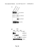 INHIBITION OF GASC1 diagram and image