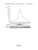 INHIBITION OF GASC1 diagram and image