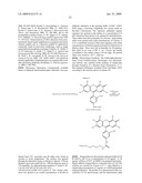 Use of Photopolymerization for Amplification and Detection of a Molecular Recognition Event diagram and image