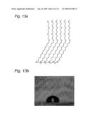 ANALYTE FOCUSING BIOCHIPS FOR AFFINITY MASS SPECTROMETRY diagram and image