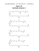 ANALYTE FOCUSING BIOCHIPS FOR AFFINITY MASS SPECTROMETRY diagram and image