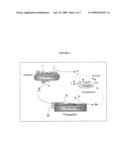 STEADY-STATE SUBCUTANEOUS ADMINISTRATION OF APTAMERS diagram and image