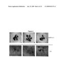 Phosphatase Stress-Related Proteins and Methods of Use in Plants diagram and image