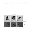 Phosphatase Stress-Related Proteins and Methods of Use in Plants diagram and image