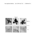 Phosphatase Stress-Related Proteins and Methods of Use in Plants diagram and image