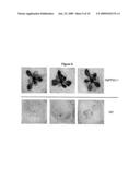 Phosphatase Stress-Related Proteins and Methods of Use in Plants diagram and image