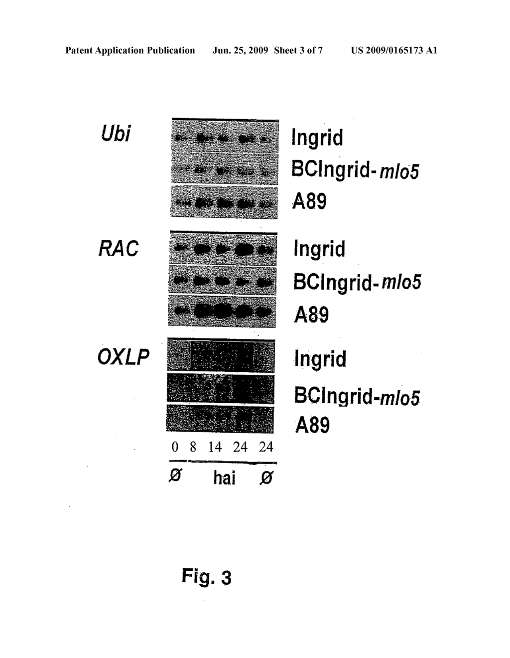 NOVEL NUCLEIC ACID SEQUENCES AND THEIR USE IN METHODS FOR ACHIEVING PATHOGEN RESISTANCE IN PLANTS - diagram, schematic, and image 04