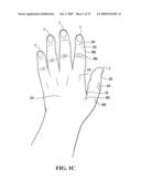 HOCKEY GLOVE diagram and image