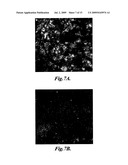 Methods for blending dried cellulose fibers diagram and image