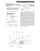 APPARATUS FOR THE PIVOTAL FASTENING OF AN ACTIVE SURFACE, IN PARTICULAR A SPOILER ON A WIND TUNNEL MODEL OF AN AIRCRAFT diagram and image