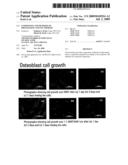 COMPOSITES AND METHODS OF PREPARATION AND USE THEREOF diagram and image