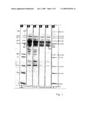 Polypeptide Having Phytase Activity and Nucleotide Sequence Encoding the Same diagram and image