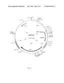 Polypeptide Having Phytase Activity and Nucleotide Sequence Encoding the Same diagram and image