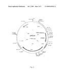 Polypeptide Having Phytase Activity and Nucleotide Sequence Encoding the Same diagram and image