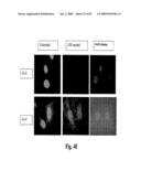 HIGH AFFINITY ANTIBODIES AGAINST HMGB1 AND METHODS OF USE THEREOF diagram and image