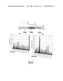 HIGH AFFINITY ANTIBODIES AGAINST HMGB1 AND METHODS OF USE THEREOF diagram and image