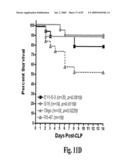 HIGH AFFINITY ANTIBODIES AGAINST HMGB1 AND METHODS OF USE THEREOF diagram and image