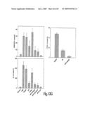 HIGH AFFINITY ANTIBODIES AGAINST HMGB1 AND METHODS OF USE THEREOF diagram and image