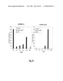 HIGH AFFINITY ANTIBODIES AGAINST HMGB1 AND METHODS OF USE THEREOF diagram and image