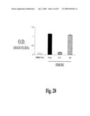 HIGH AFFINITY ANTIBODIES AGAINST HMGB1 AND METHODS OF USE THEREOF diagram and image