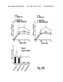 HIGH AFFINITY ANTIBODIES AGAINST HMGB1 AND METHODS OF USE THEREOF diagram and image