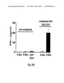 HIGH AFFINITY ANTIBODIES AGAINST HMGB1 AND METHODS OF USE THEREOF diagram and image