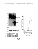 HIGH AFFINITY ANTIBODIES AGAINST HMGB1 AND METHODS OF USE THEREOF diagram and image