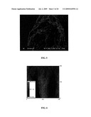 CARBON NANOTUBE-BASED FIBERS, USES THEREOF AND PROCESS FOR MAKING SAME diagram and image